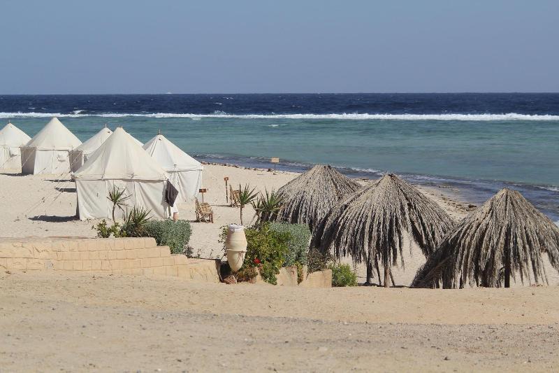 Marsa Shagra Village Marsa Alam Eksteriør billede