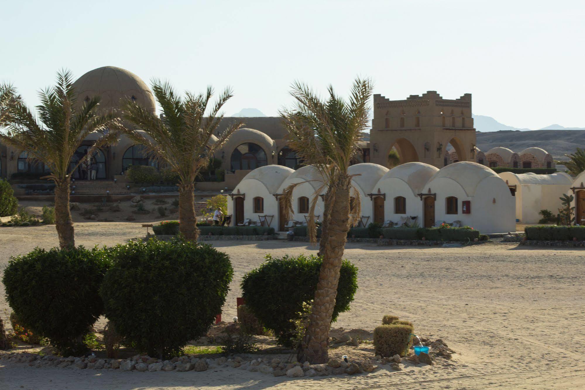 Marsa Shagra Village Marsa Alam Eksteriør billede